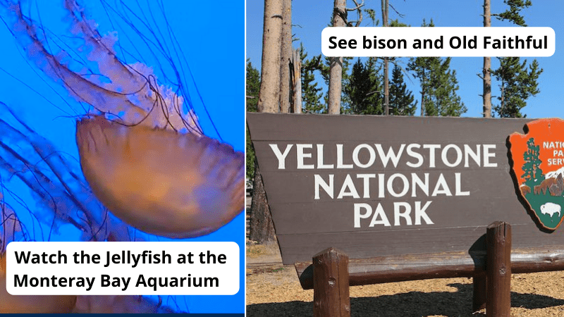 Examples of virtual field trips for teaching 2nd grade, including "Watch the jellyfish at the Monteray Bay Aquarium" and "See bison and Old Faithful"