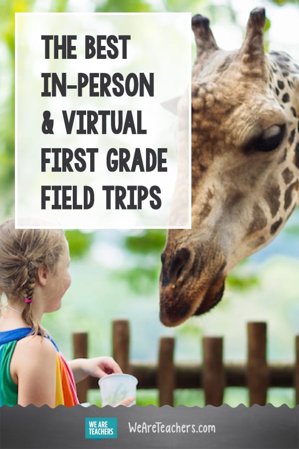 virtual field trips for second graders