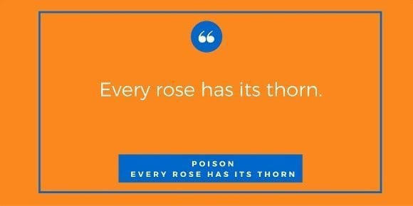 Every rose has its thorn.