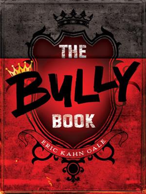 The Bully Book book cover