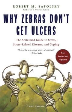Zebras Ulcers