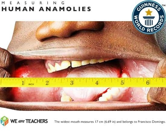 human-anamolies human-anamolies