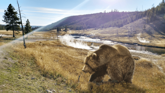 WETA Yellowstone WETA Yellowstone