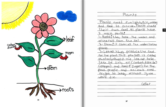 Write About What You Learned in Science - 10 Ideas for Class-Made Books Write About What You Learned in Science - 10 Ideas for Class-Made Books