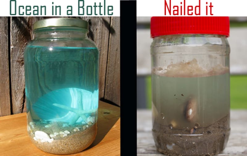 Teachers Fail- Ocean in a bottle