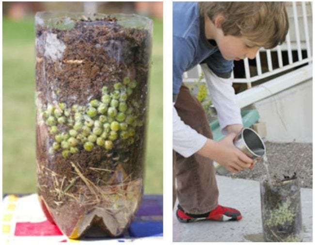 Bote de compost construido en una botella de refresco de dos litros, con el niño vertiendo agua en él