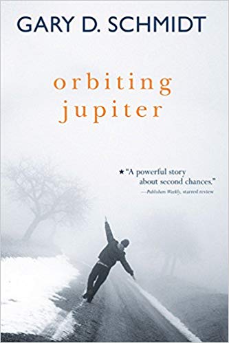 Orbiting Jupiter book cover-middle school books