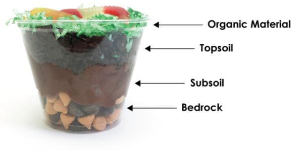 Clear cup layered with chocolate chip bedrock, pudding subsoil, crushed cookie terriccio, and coconut grass