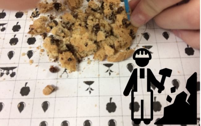 Schülerhand, die durch einen zerbröckelten Keks gräbt, um Schokoladenstückchen herauszuziehen (Wissenschaft der vierten Klasse)'s hand digging through a crumbled cookie to pull out chocolate chips (Fourth Grade Science)