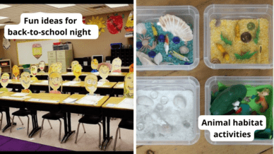50 Tips for third grade including "Fun ideas for back-to-school night" with life-size drawings of students sitting at desks and "Animal habitat activities, with plastic bins filled with colorful science materials