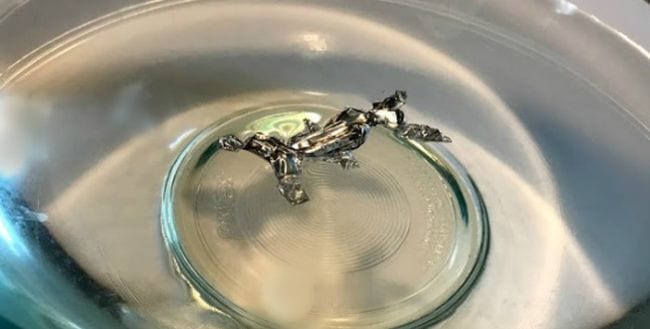 Aluminum foil bug floating on a bowl of water