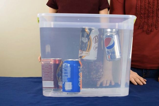 5th Grade Sinking Soda Cool Science Experiments HQ