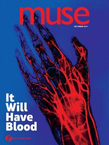 sample issue of Muse magazine