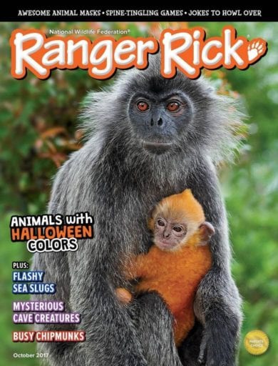 Sample issue of Ranger Rick magazine