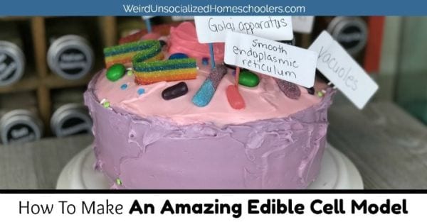 Cake turned into a cell model with gummi candies and labels (Seventh Grade Science)