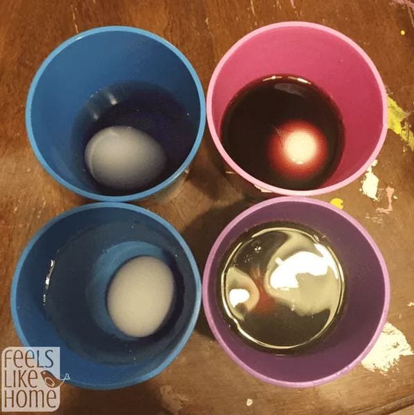 Four colored cups containing different liquids, with an egg in each