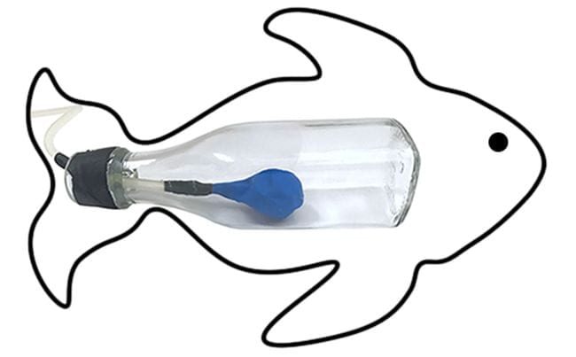 Plastic bottle with rubber tubing and a blue balloon, inside the outline of a fish