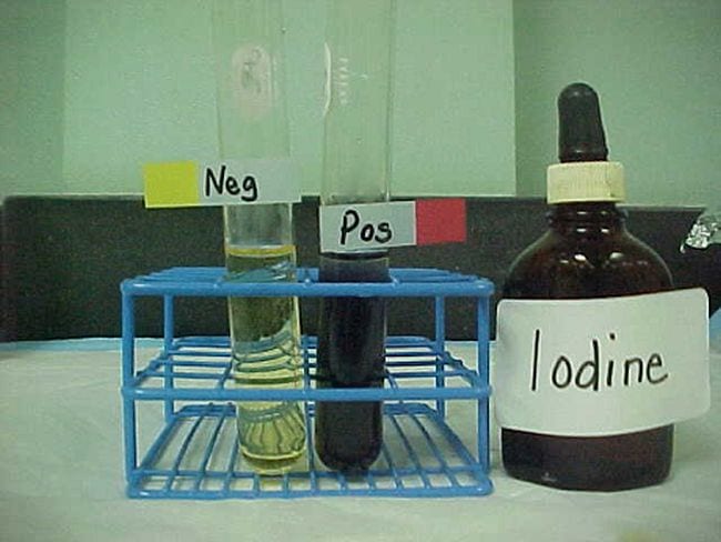 Test tube with yellow liquid labeled neg, test tube with black liquid labeled pos, and stoppered bottle filled with iodine (Eighth Grade Science)