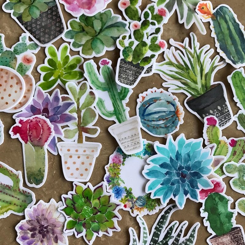 Assorted colorful cacti stickers.