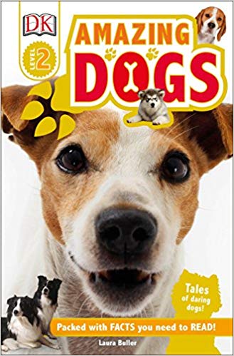 childrens book non fiction picture rescue dog