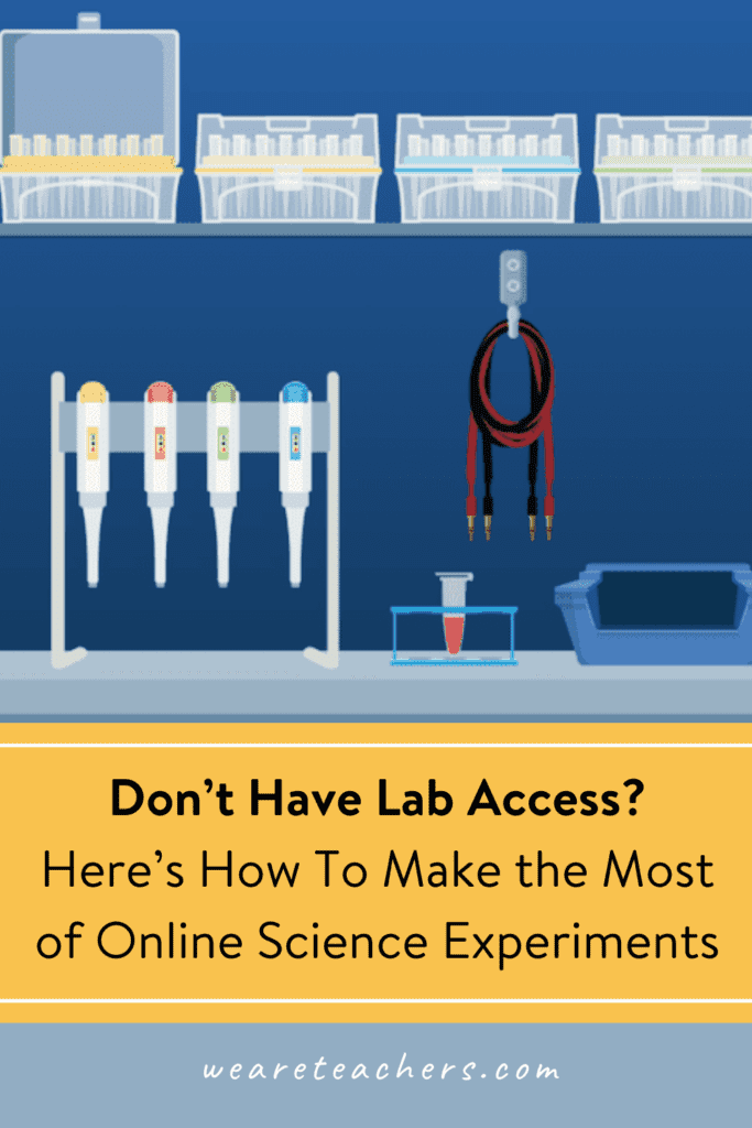 Don’t Have Lab Access? Here’s How To Make the Most of Online Science Experiments