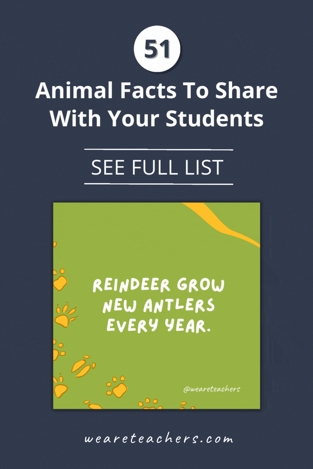These animal facts for kids are great for introducing students to how amazing, gross, fast, and fun animals can be!