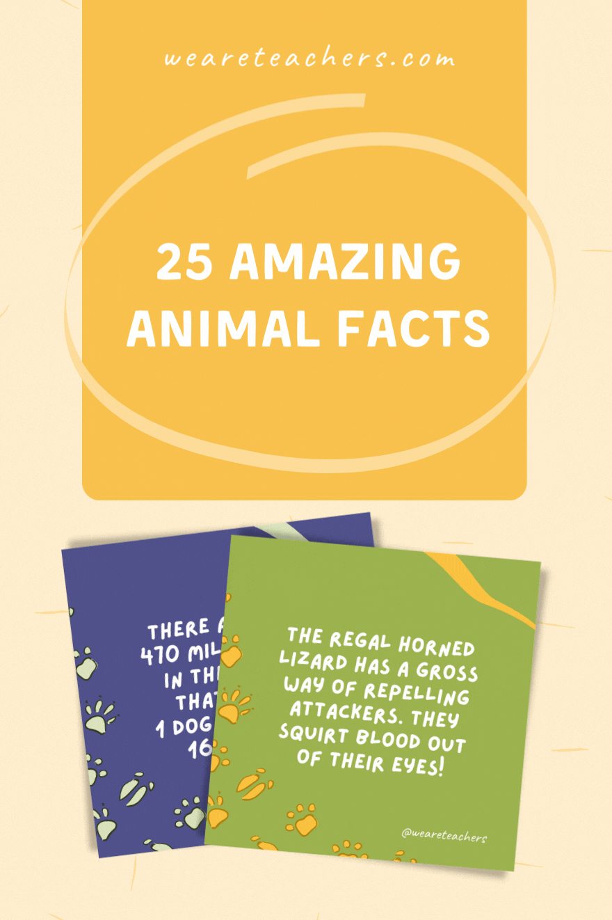 25 Amazing Animal Facts to Share With Your Students
