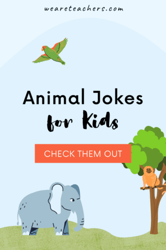 25 Hoot-larious Animal Jokes for Kids - We Are Teachers