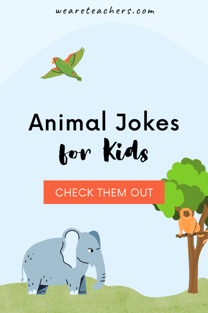 25 Hoot-larious Animal Jokes for Kids