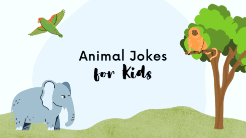 25 Hoot-larious Animal Jokes for Kids - We Are Teachers