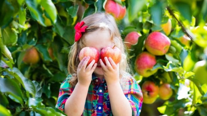 The Best Apple Science Activities for Grades PreK-2 - We Are Teachers