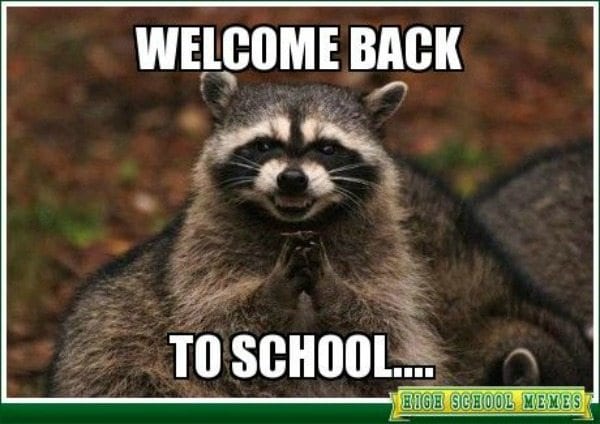 30 Hilarious Back To School Memes For Teachers Weareteachers