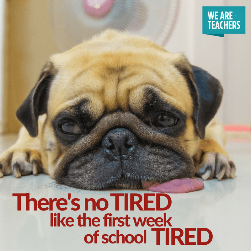 30 Hilarious Back To School Memes For Teachers Weareteachers