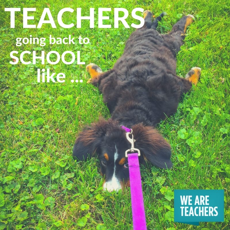 These 24 Summer Teacher Memes Make Us Feel Seen We Are Teachers