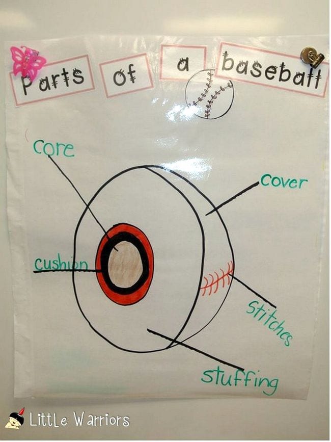 20 Best Baseball Activities and Crafts for Kids | WeAreTeachers