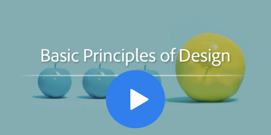 Basic Principles of Design