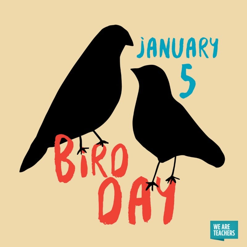 January_Holiday_Bird_Day