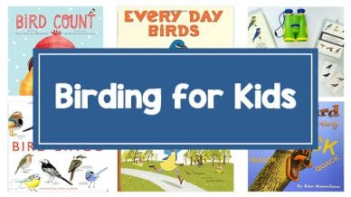 Still of post sharing tips for birding with kids