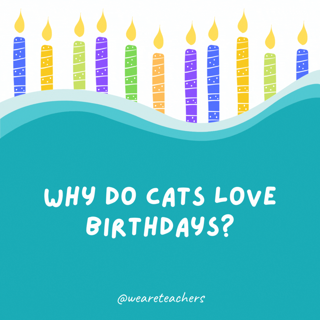 Why do cats love birthdays?