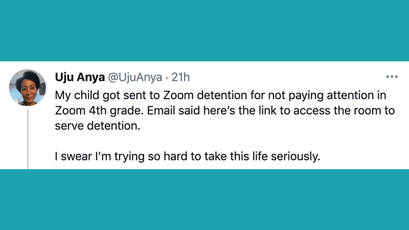 zoom detention twitter