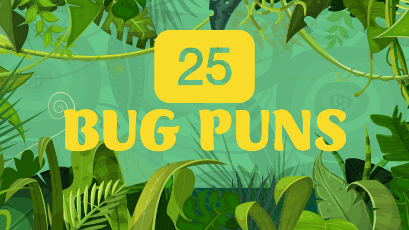 25 Bug Puns You Can “Bee” Sure Your Students Will Love