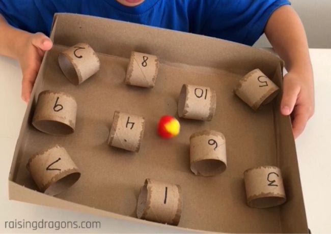 Cardboard activities kite breeding