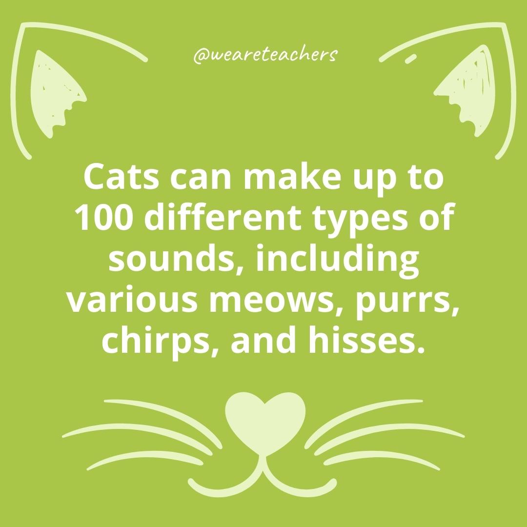 25 Cat Facts for Kids That Are Purrrfect for All Ages