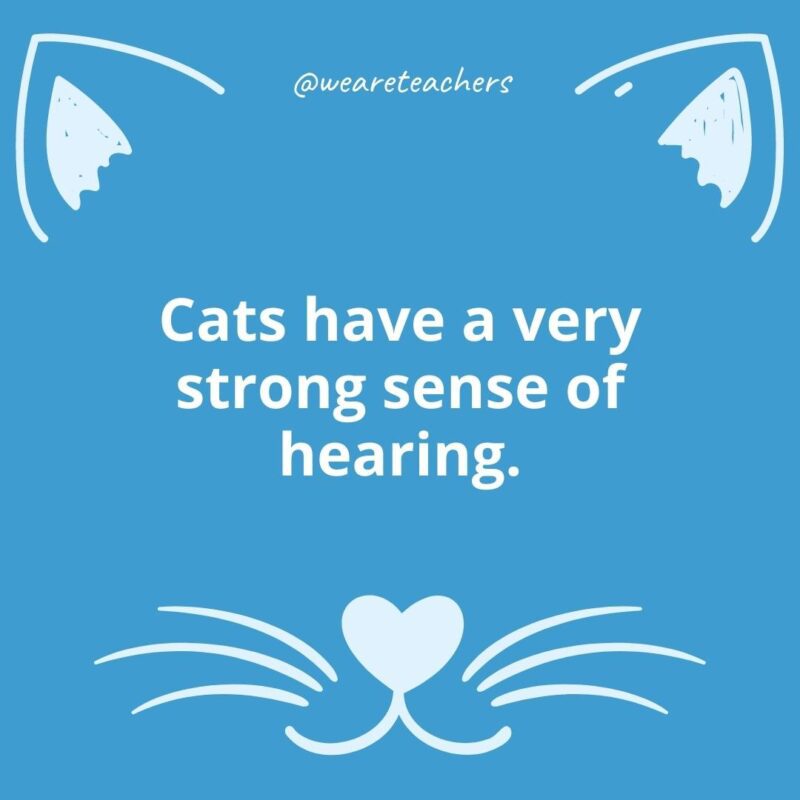 23. Cats have a very strong sense of hearing.