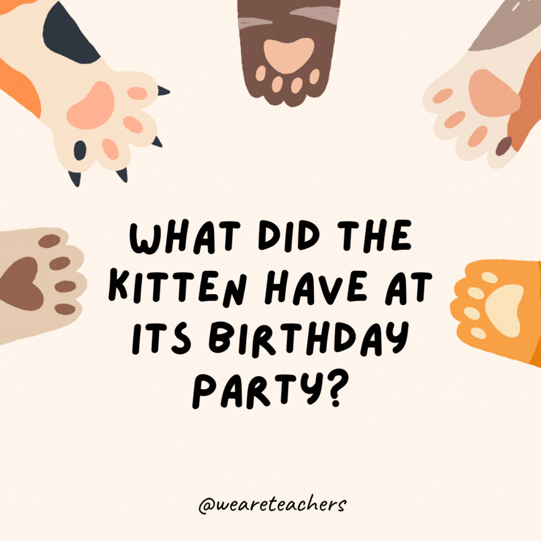 What did the kitten have at its birthday party?