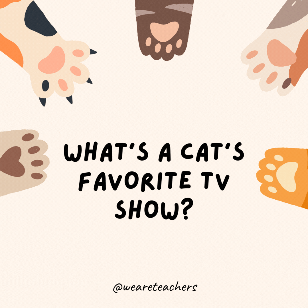 What's a cat's favorite TV show?