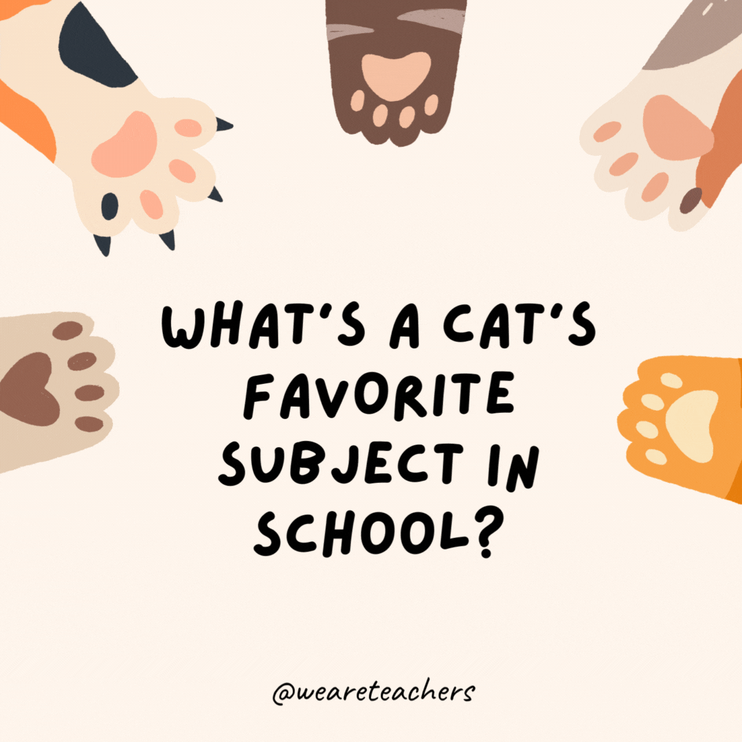 34 Cat Jokes For Kids These Are Hiss terical 