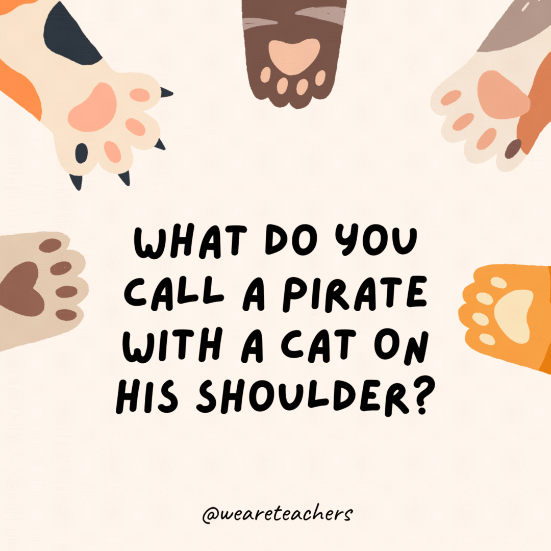 What do you call a pirate with a cat on his shoulder?