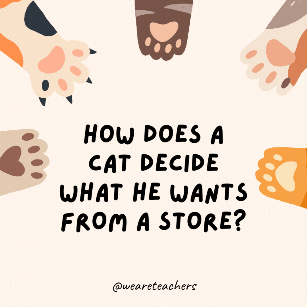 How does a cat decide what he wants from a store?