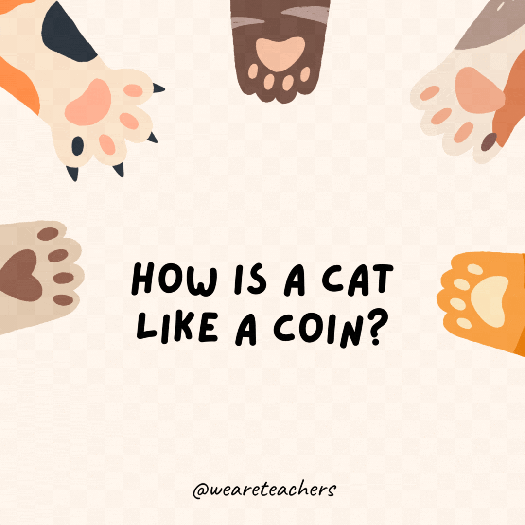 How is a cat like a coin?